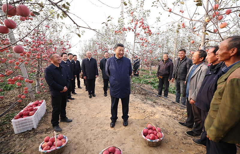10月26日至28日,中共中央总书记、国家主席、中央军委主席习近平在陕西省延安市、河南省安阳市考察。这是26日下午,习近平在延安市安塞区高桥镇南沟村苹果园同老乡们亲切交流。